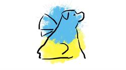 Fundacja Skrzydlaty Pies, Bukowno godziny otwarcia