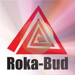 Ro-Ka Sp. z o.o. Zakład Remontowo-Budowlany "Roka-Bud", Kielce godziny otwarcia