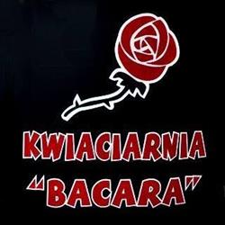 "BAcara" Kwiaciarnia Elżbieta Adamczyk, Kłodzko godziny otwarcia