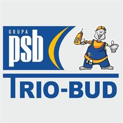PRZEDSIĘBIORSTWO WIELOBRANŻOWE TRIO-BUD DANIEL MIESZKALSKI, ROBERT MIESZKALSKI SP. J., Bełchatów godziny otwarcia