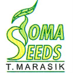 "Toma Seeds" Tomasz Marasik, Rybna godziny otwarcia