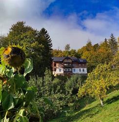 Villa Hubertus, Srebrna Góra godziny otwarcia