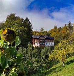 Villa Hubertus, Srebrna Góra godziny otwarcia
