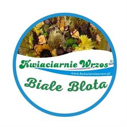 Wrzos, Białe Błota godziny otwarcia