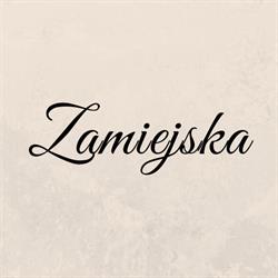 Restauracja Zamiejska, Opatów godziny otwarcia