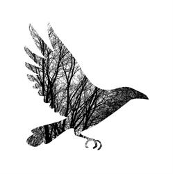 "E.Corax" Sp. z o.o., Zielona Góra godziny otwarcia