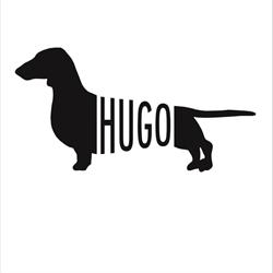 GABINET WETERYNARYJNY HUGO JOANNA TWARDOSZ, Poznań godziny otwarcia