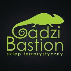 Gadzi Bastion Paulina Gwiazda, Szczecin godziny otwarcia