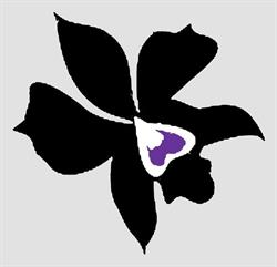 Kwiaciarnia Artystyczna Czarna Orchidea, Radom godziny otwarcia