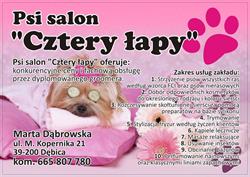 Psi salon "Cztery łapy", Dębica godziny otwarcia