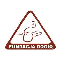 FUNDACJA DOG'IQ, Katowice godziny otwarcia