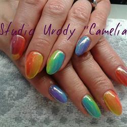 Studio Urody ''Camelia'', Siedlce godziny otwarcia