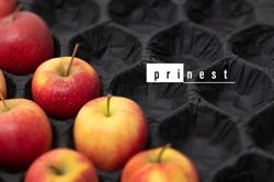 Prinest Sp. z o.o., Łubowo godziny otwarcia