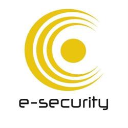 YOUNG PROFESSIONALS SECURITY POLAND SP Z O O, Warszawa godziny otwarcia