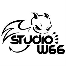 Studio W66 Władysław Czulak, Zielona Góra godziny otwarcia