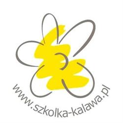 SZKÓŁKA KAŁAWA Sp. z o.o., Międzyrzecz godziny otwarcia