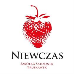Kwalifikowana Szkółka Sadzonek Truskawek Józef Niewczas, Sośno godziny otwarcia