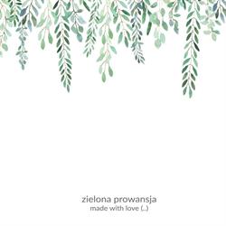 Zielona Prowansja, Wolsztyn godziny otwarcia