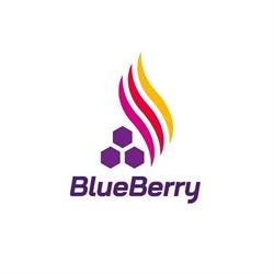 BlueBerryOil Sp. z o.o. S.K.A., Poznań godziny otwarcia