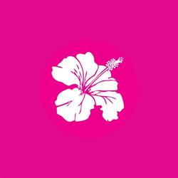 Hotel & Restauracja Hibiskus, Zarzecze godziny otwarcia