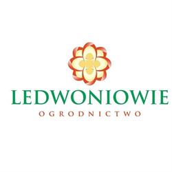Gospodarstwo Ogrodnicze "Ledwoniowie", Oświęcim godziny otwarcia