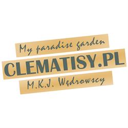 Clematisy M.K.J. Wędrowscy Sp. z o.o., Kolincz godziny otwarcia