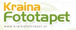 Sklep KrainaFototapet.pl, Szczecin godziny otwarcia