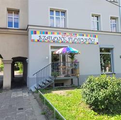 Kwiaciarnia Szalone Florystki, Gliwice godziny otwarcia