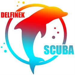 Szkoła Nurkowania Dla Dzieci Delfinek Scuba, Chorzów godziny otwarcia