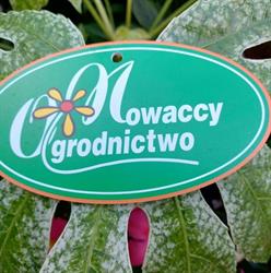 Centrum Ogrodnicze Nowaccy, Brzezie godziny otwarcia