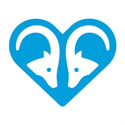 FUNDACJA KOCHANIA POZNANIA, Poznań godziny otwarcia