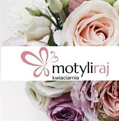 Kwiaciarnia Motyli Raj, Kraków godziny otwarcia