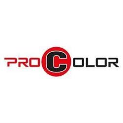 PRO COLOR S C ARKADIUSZ BEGER RAFAŁ BEGER, Łódź godziny otwarcia
