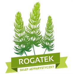 ROGATEK, Warszawa godziny otwarcia
