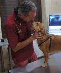 VITA I ANIMAL ZDZISŁAW RAK SPÓŁKA JAWNA, Sobótka godziny otwarcia
