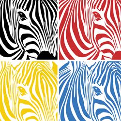 Biuro Podróży Zebra, Częstochowa godziny otwarcia