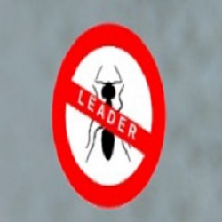 Z.P.H.U. "Leader" Jeleniogórski Zakład Dezyfekcji Dezynsekcji i Deratyzacji Mirosław Jackowski, Jelenia Góra godziny otwarcia