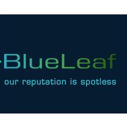 BLUELEAF Usługi Porządkowe, Wrocław godziny otwarcia