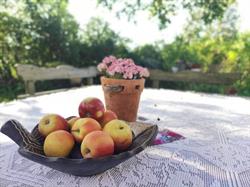 Agroturystyka DOM PRACY TWÓRCZEJ, Pobiedna godziny otwarcia