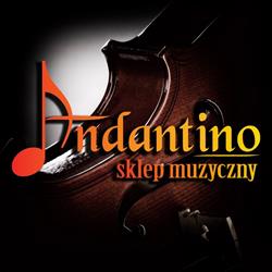 Sklep muzyczny Andantino, Wschowa godziny otwarcia