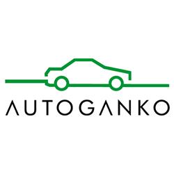 Auto Szyby i Myjnia ręczna Autoganko, Mińsk Mazowiecki godziny otwarcia