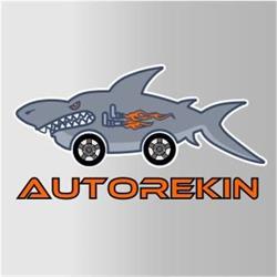 SKLEP MOTORYZACYJNY AUTOREKIN K I S DOBRYNIEWSCY S C, Legnica godziny otwarcia
