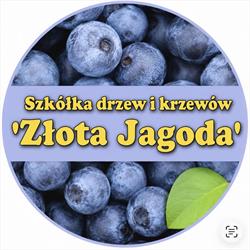 Szkółka "Złota Jagoda", Głuchów godziny otwarcia