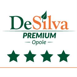 Hotel DeSilva Premium, Opole godziny otwarcia