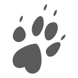 good dog - pielęgnacja i strzyżenie psów, Gdynia godziny otwarcia