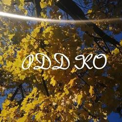 Powiatowy Dom Dziecka, Krosno Odrzańskie godziny otwarcia