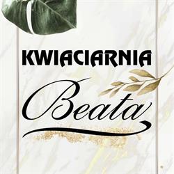 KWIACIARNIA Beata Berdychowska, Wielogłowy godziny otwarcia