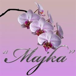F.H.U. "MAJKA", Łużna godziny otwarcia