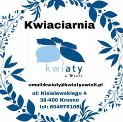 Kwiaty u Wioli, Krosno godziny otwarcia