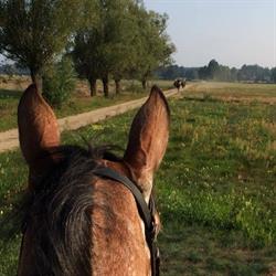 Gospodarstwo Agroturystyczne SIELANKA Mikołaj Adamczyk, Raciąż godziny otwarcia